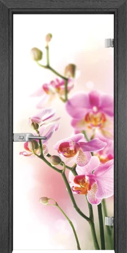 Стъклена врата Gama Print G 13-2, Сив кестен