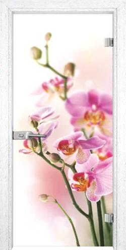 Стъклена врата Gama Print G 13-2, Бреза
