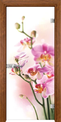 Стъклена врата Gama Print G 13-2, Златен дъб