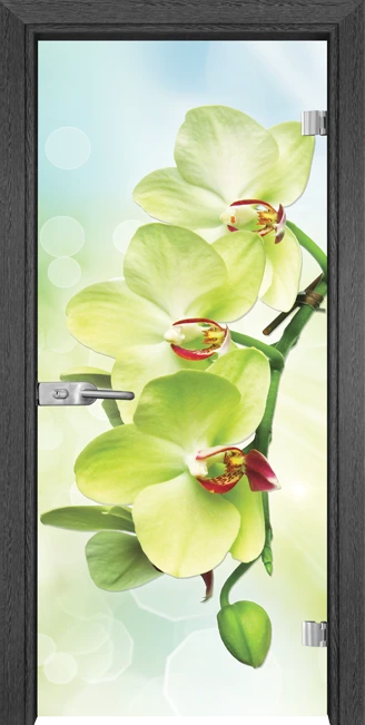 Стъклена врата Gama Print G 13-3 Green, Сив кестен