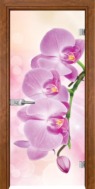 Стъклена врата Gama Print G 13-3 Pink, Златен дъб
